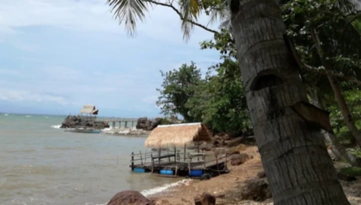 Leda's Garden Beach Resort in Barotac Viejo